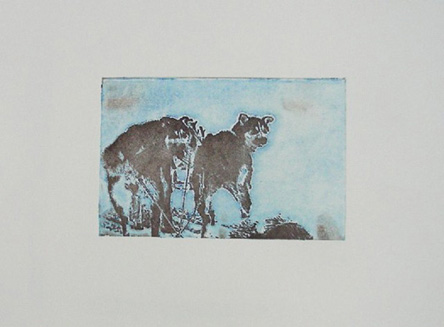 Image01